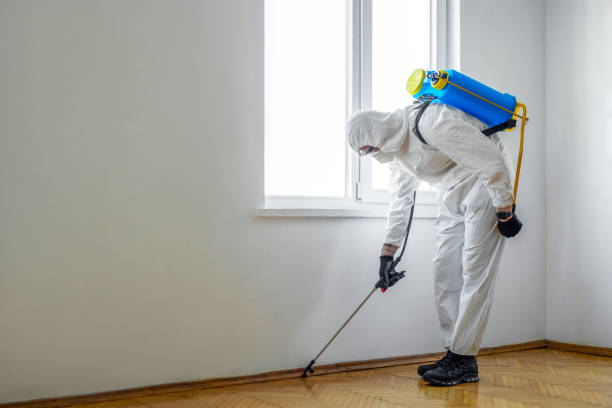 Best Termite Control Services  in Kalamazoo, MI