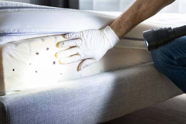  Kalamazoo, MI Pest Control Pros