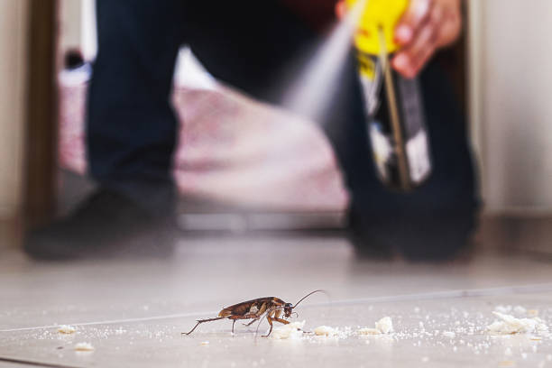 Best Pest Prevention Services  in Kalamazoo, MI